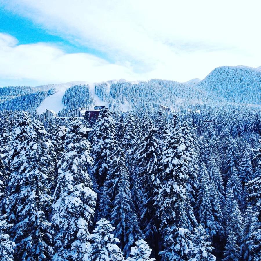 Mountain Paradise In Aparthotel Borovets Gardens Bagian luar foto
