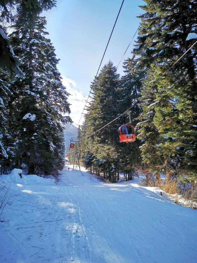 Mountain Paradise In Aparthotel Borovets Gardens Bagian luar foto
