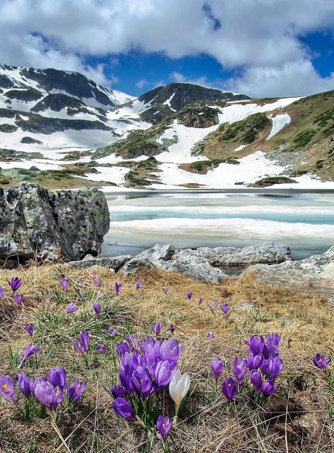 Mountain Paradise In Aparthotel Borovets Gardens Bagian luar foto